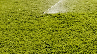 CANCHAS-7
