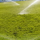 CANCHAS-7