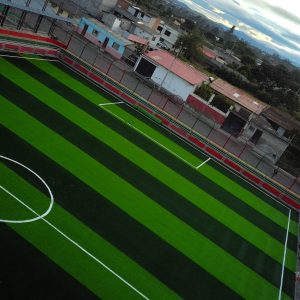 Cesped sintético (2)