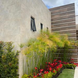 Diseño de jardines y paisajes (2)