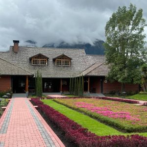 Diseño de jardines y paisajes (4)