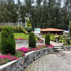 Diseño de jardines y paisajes (5)