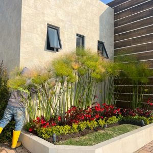 Mantenimineto de jardines (11)