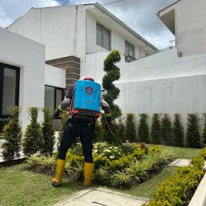 Mantenimineto de jardines (12)