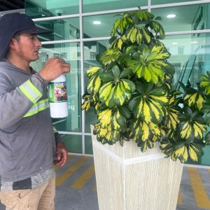 Mantenimineto de jardines (13)