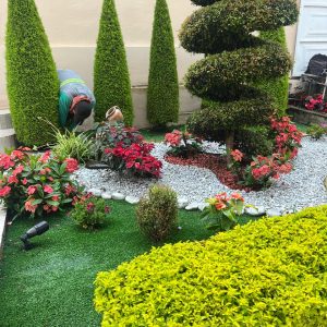 Mantenimineto de jardines (14)