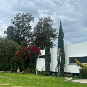 Mantenimineto de jardines (4)