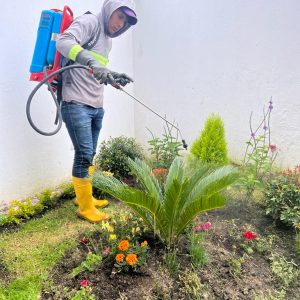 Mantenimineto de jardines (5)