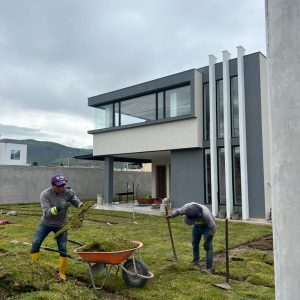Mantenimineto de jardines (7)