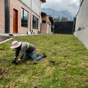 Mantenimineto de jardines (9)