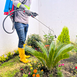 mantenimiento-de-jardin